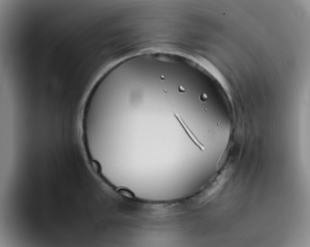 X0000092051005200709262006