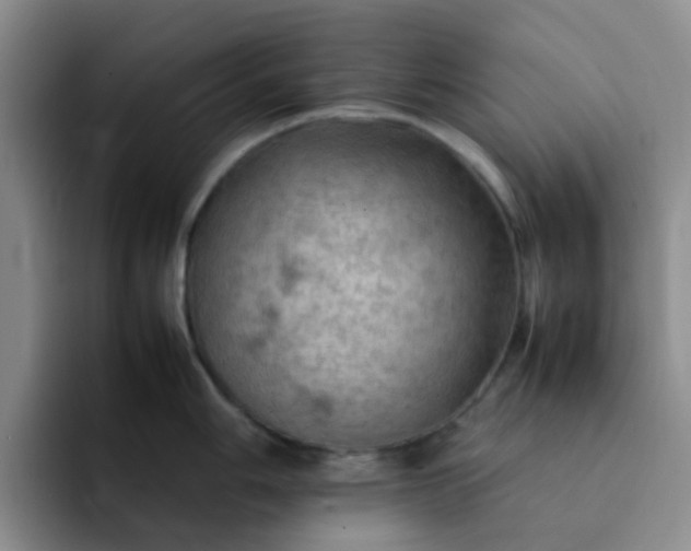 X0000092051006200709262006