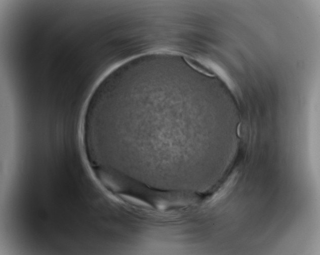 X0000092051007200709262006