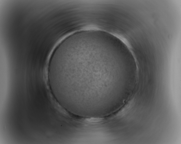 X0000092051008200709262006