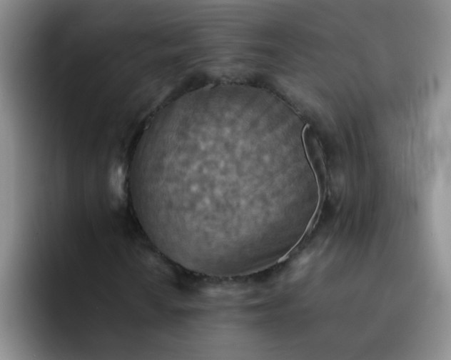 X0000092051010200709262005