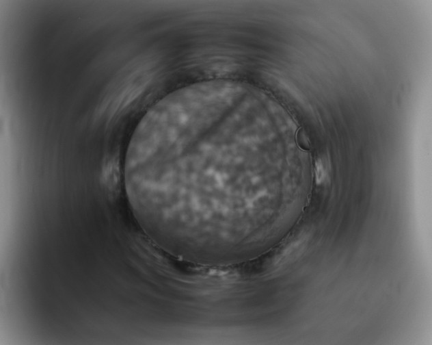 X0000092051011200709262005