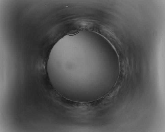 X0000092051013200709262005