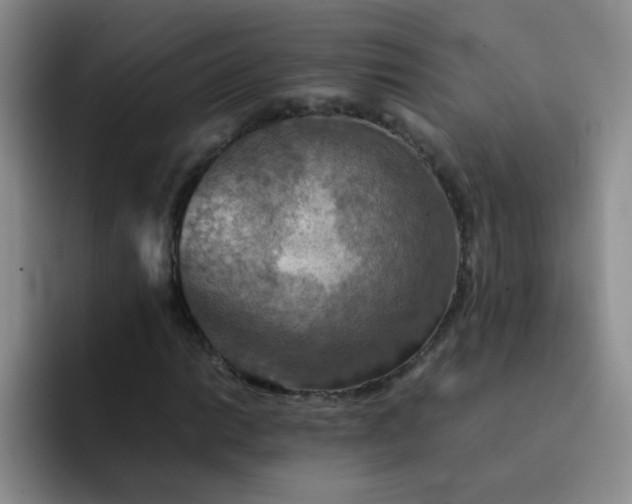 X0000092051014200709262005