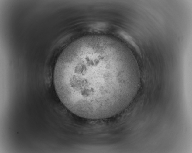 X0000092051015200709262005