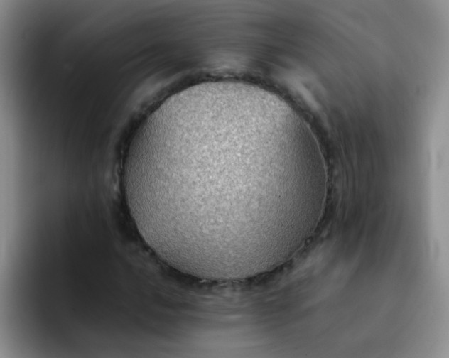 X0000092051016200709262005