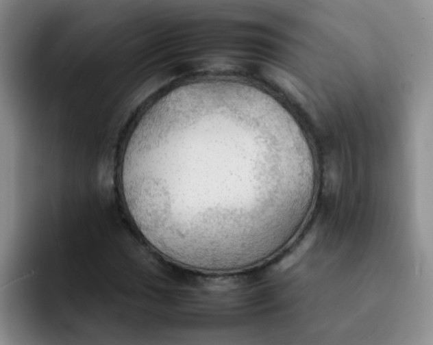 X0000092051017200709262005