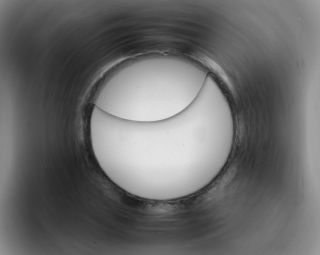 X0000092051019200709262006