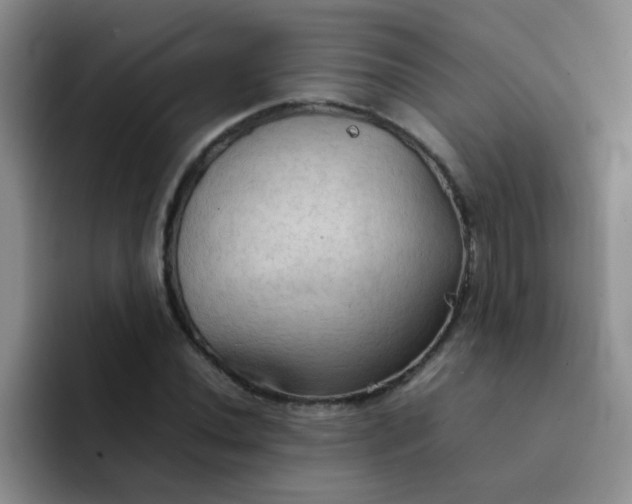 X0000092051020200709262006