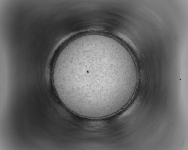 X0000092051021200709262006