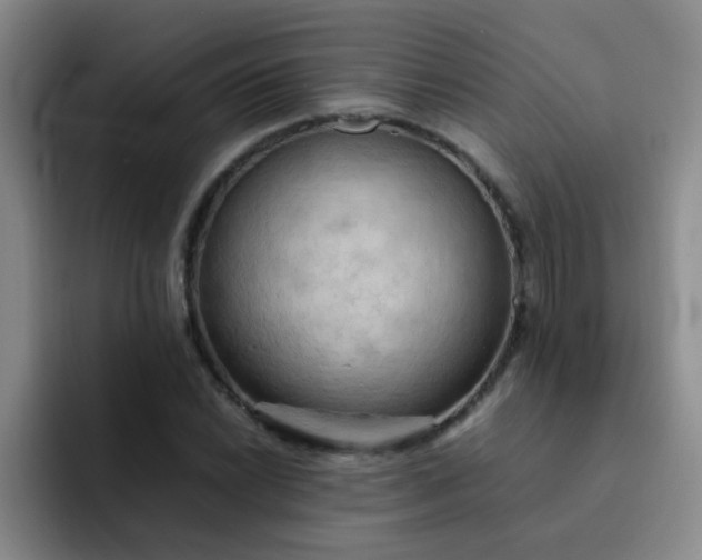 X0000092051022200709262006