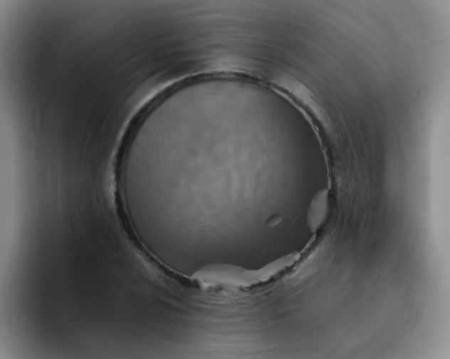 X0000092051024200709262006