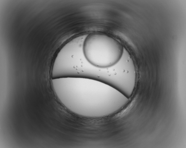 X0000092051025200709262006