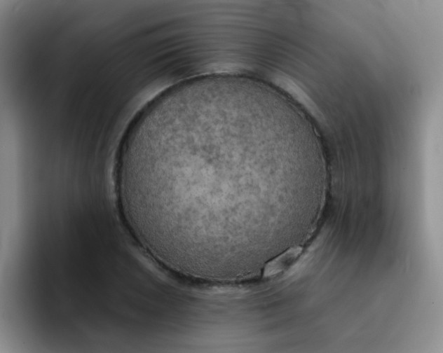 X0000092051026200709262006