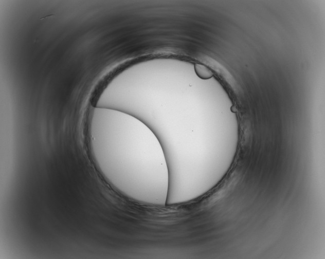 X0000092051027200709262006