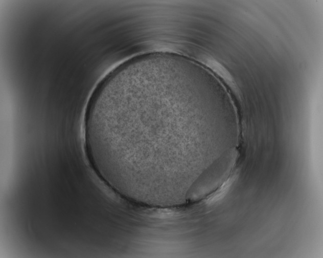 X0000092051028200709262006