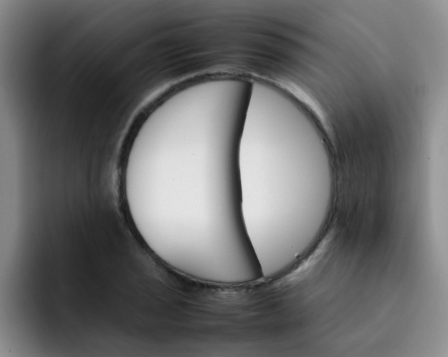 X0000092051029200709262006