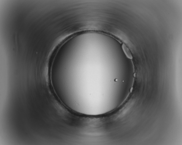 X0000092051030200709262006