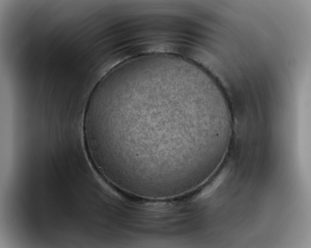 X0000092051033200709262006