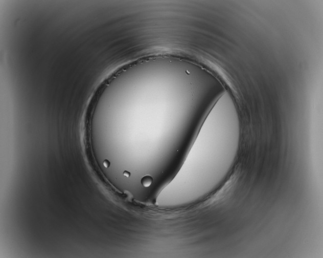 X0000092051034200709262006