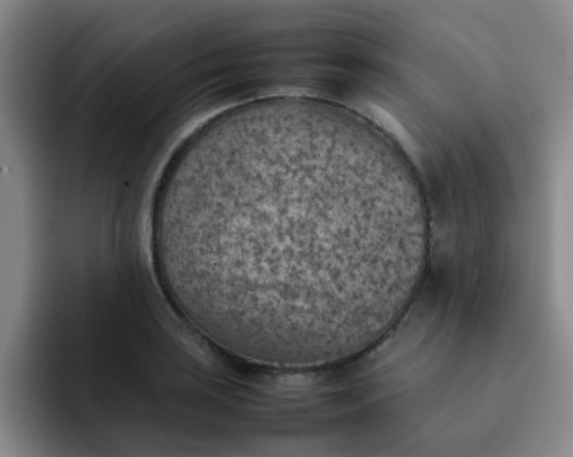 X0000092051035200709262006