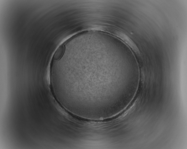 X0000092051036200709262006