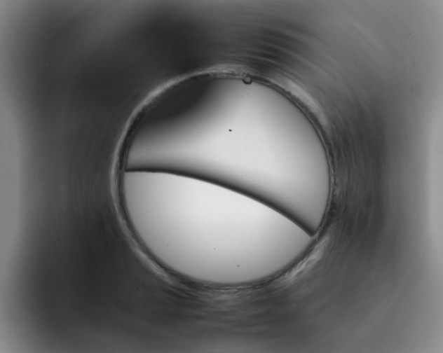 X0000092051037200709262006