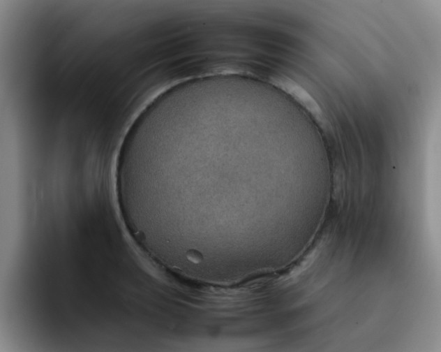 X0000092051039200709262006