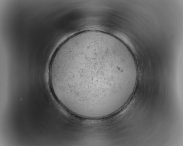 X0000092051040200709262006