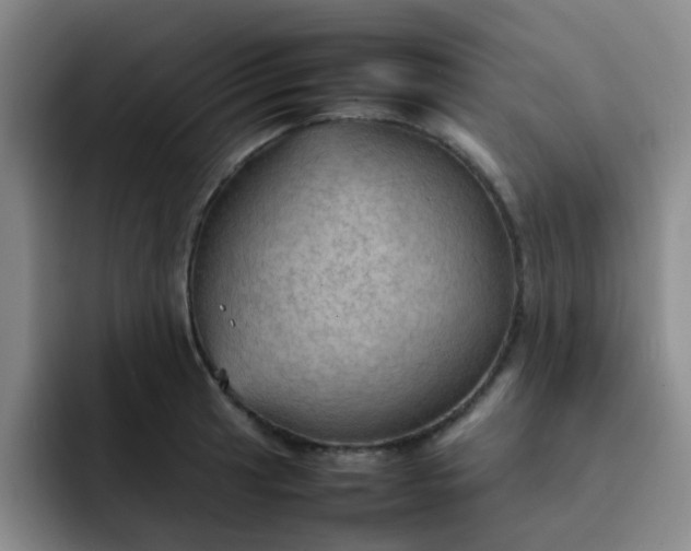 X0000092051041200709262006