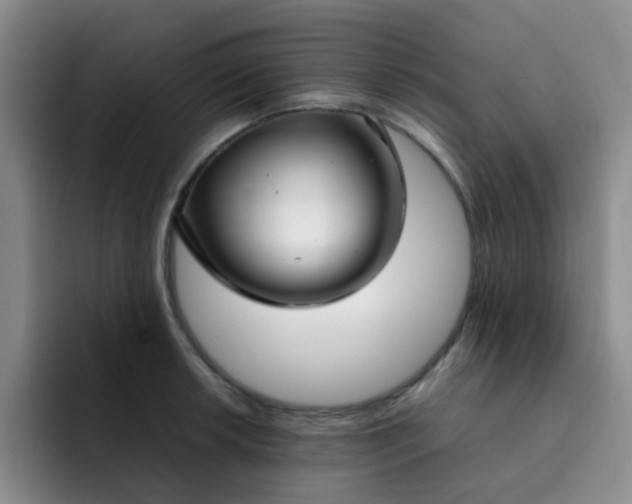 X0000092051042200709262006