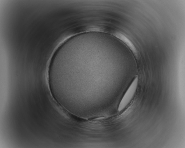 X0000092051043200709262006