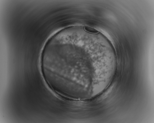 X0000092051045200709262006