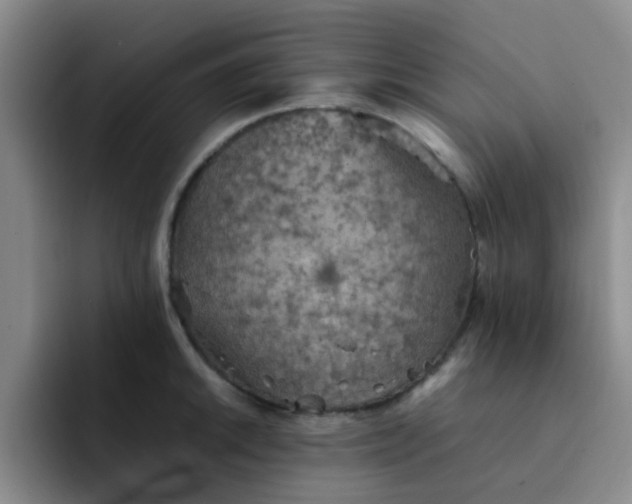 X0000092051046200709262006