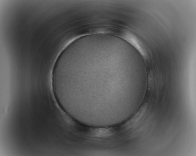 X0000092051047200709262006