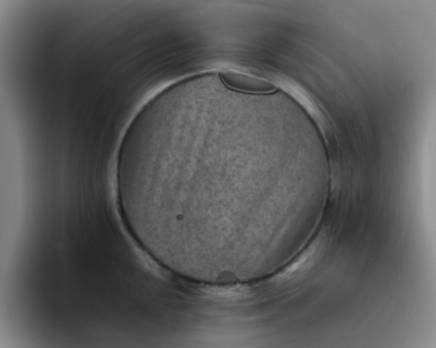 X0000092051048200709262006