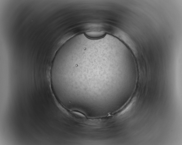 X0000092051049200709262006