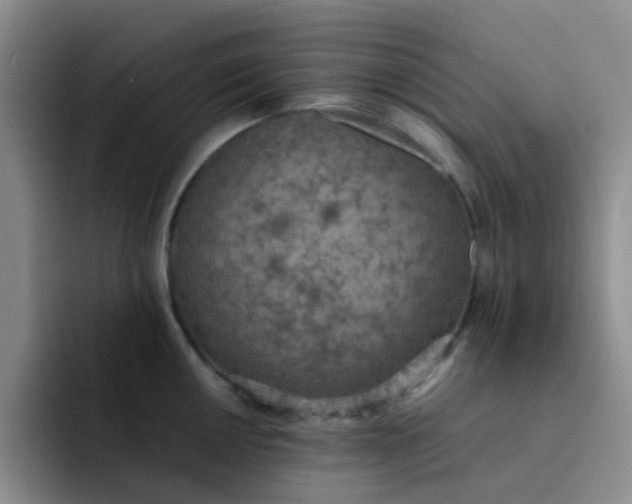 X0000092051050200709262006