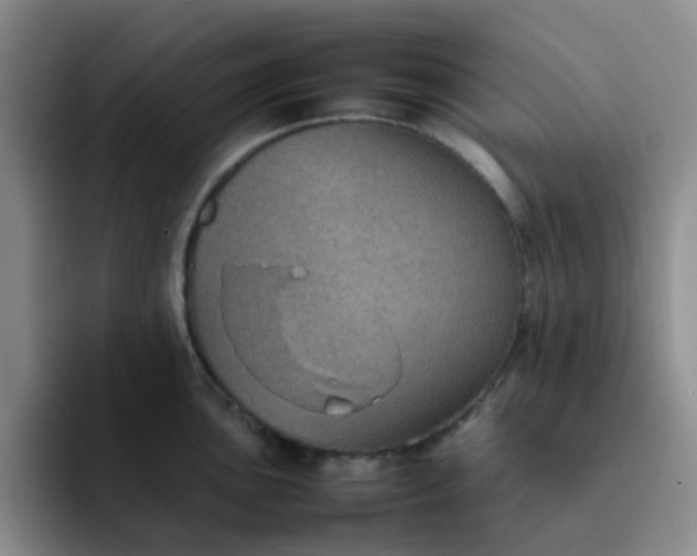 X0000092051051200709262006