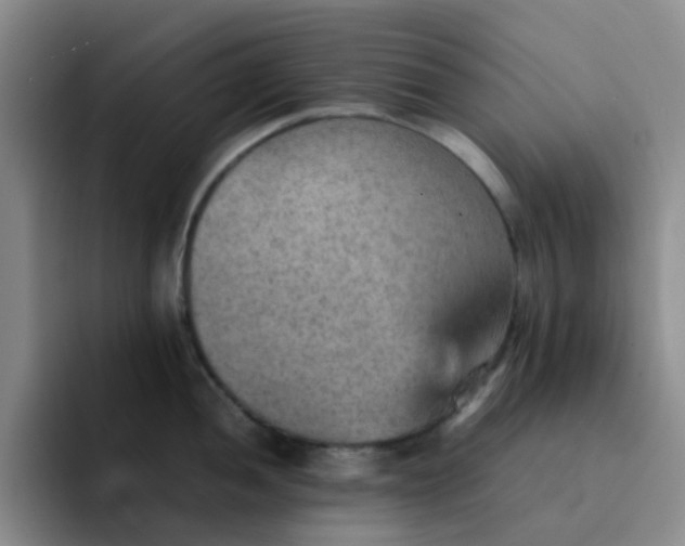 X0000092051052200709262006