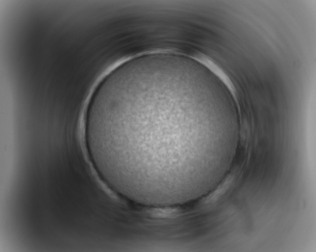 X0000092051053200709262006