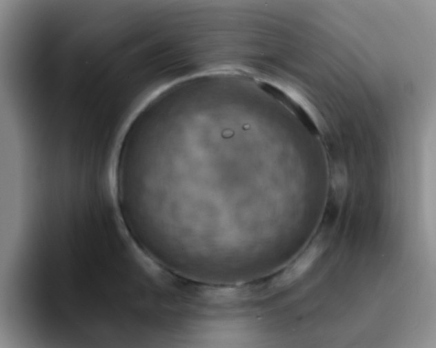 X0000092051054200709262006