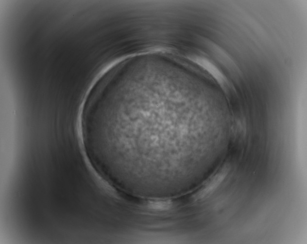 X0000092051055200709262006