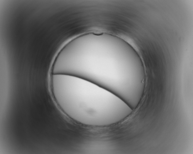 X0000092051056200709262006