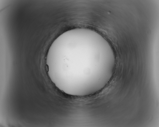 X0000092051057200709262005