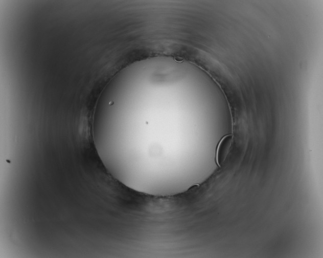 X0000092051058200709262005