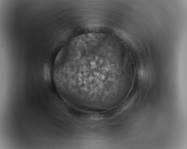 X0000092051060200709262005