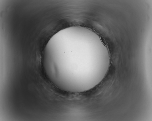 X0000092051061200709262005