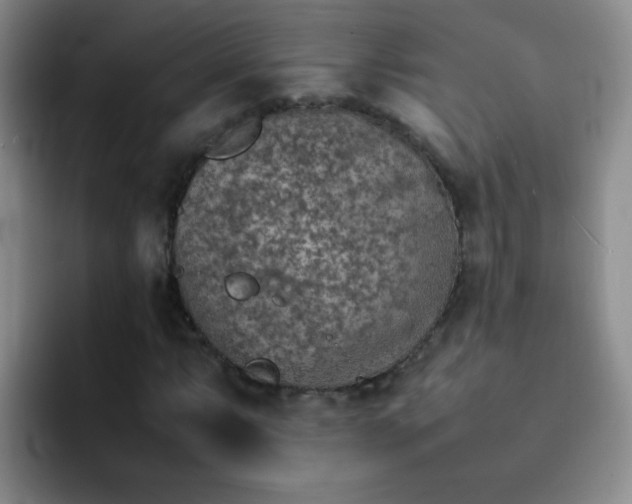 X0000092051063200709262005