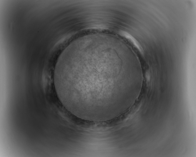 X0000092051064200709262005